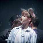 [강다니엘] 세계<b>평화</b> 아기늑대 강다니엘 팬싸 과질 새로떴는데