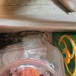 <b>북문</b>이의 최후!!!