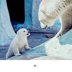 나만 <b>이말</b> 싫어하는거니
