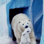 지나가던 <b>코</b><b>덕</b>인데 메이크업 질문받아
