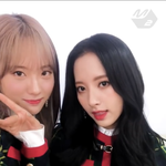 [드루와] 와 <b>보나</b> 개이쁘다 양심없다