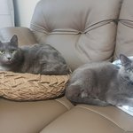 신혼부부 저녁 밥상이예요 ㅎㅎㅎ