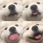 친구 서울대간다고 ㅈㄴ 나댔는데
