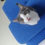 제발..<b>한입</b>만..