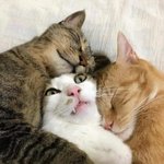 [댓글부탁해] <b>각질</b>제거 화장하기 전에 해 아님 저녁에 해
