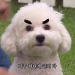 [EXO] 내일 애정행각 <b>정점</b> 찍을듯