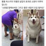 [댓글부탁해] 장<b>에스더</b> 라는애 어떨거같음