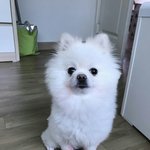 [댓글부탁해] 아 ㅅㅂ <b>전짝남</b> 조언좀해줘 제발