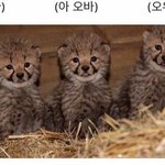 [NCT] <b>갤럭시</b>...따시키지마...