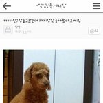 눈 진짜 못 마주치는 애들 있니