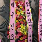 나 꿈 ㄹㅇ행복했었음