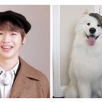 [강다니엘] 멈<b>무야</b>❗