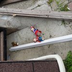 [댓글부탁해] 누가 <b>사업장</b> 앞에 인형을 버려두고 갔어요