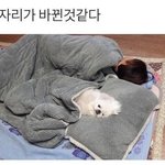 친했다가 <b>서먹</b>해진 친구 생일인데