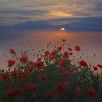 어제 1시쯤에 <b>자서</b>