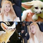 <b>여우상</b> 아이돌 좀 알려줘