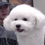 <b>현체</b> 때 옷
