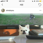 크러쉬랑 태연 열애설 실화임?