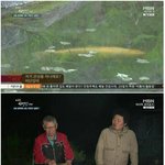 [<b>명랑</b>엽떡] 회로 먹는 비단잉어
