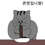 판친구들 병먹금 못하는데 <b>재주</b>있는듯