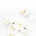 [댓글부탁해] 다음 <b>sm</b> 걸그룹이 뜨려면