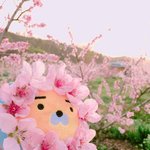 [조언부탁해] 하 속<b>방귀</b> 심한사람 있냐...