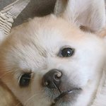 [방탈죄송] 남자랑 말을 섞으면 <b>긴장</b>돼요