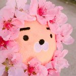 [댓글부탁해] 나 폰고장나서 <b>알람</b>안울리는데
