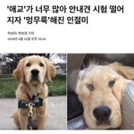 [드루와] 나도 해보는 그룹별 최애
