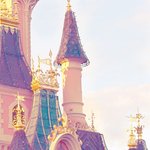 나 <b>아자르</b>에서 와이지 연습생 봄