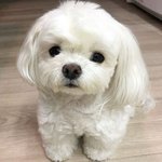[댓글부탁해] 얘 진짜 이거 믿어도되는거 맞겠지??ㅠㅠ