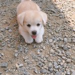 [댓글부탁해] 근데 여기에 자기 <b>일화</b> 쓰기 무섭지 않냐