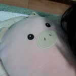 [드루와] 몸이 너무 아프다 진짜
