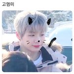 [강다니엘] 고멈미단 너무 동소<b>니야</b> ฅ^•ﻌ•^ฅ