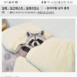 걸러야되는 남자 총정리 <b>feat</b> 일베