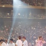 [강다니엘] 강다니엘 사랑스러운 <b>댕댕이</b>~~