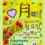 <b>이런사진</b> 뭐라쳐야 많이나오냐