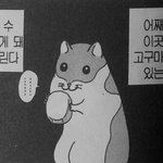 피어싱 샵에는 피어싱 <b>종류</b> 다 있겠지?