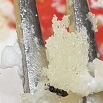 [댓글부탁해] +추가)케잌먹다 <b>벌레</b>나옴