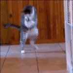 <b>봉봉</b>이면   쥬스임?