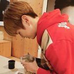 [강다니엘] 고래 에풉풉푸푸풒