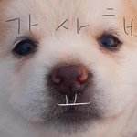 [드루와] 와 우리 독서실 사장님 <b>개착</b>해
