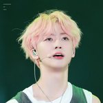 국어 <b>문법</b>은 다 외워야 됨??