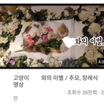 [드루와] 너네 반려동물 장례식을 <b>sns</b>나 유튭같은데에 올리는 것에...