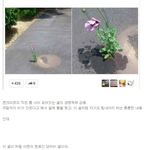 [EXO] 이 거 보고 웃어라 ㅋㅋㅋㅋㅋ