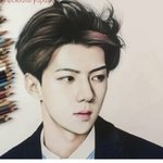 [EXO] <b>외국팬</b>이 그린 세후니