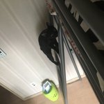 [고양이] 님들 고양이 <b>계단</b> 오르는거 본적 있음?