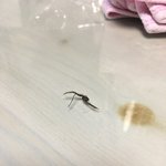[댓글부탁해] 눈썹<b>문신</b>이 다 지워졌어