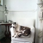 대충 보면 깜짝 놀랄 <b>보호색</b>