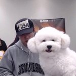 엑소 세훈 이 강아지 진짜임? <b>합성</b>아니고?